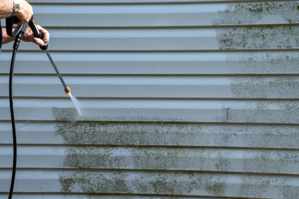 Best Custom Siding Design  in Algona, WA