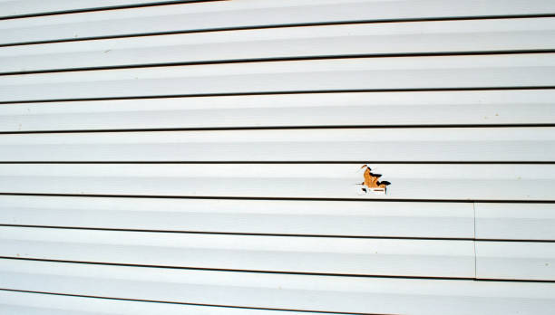 Best Wood Siding Installation  in Algona, WA