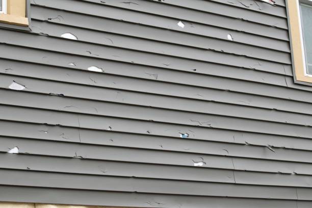 Storm Damage Siding Repair in Algona, WA